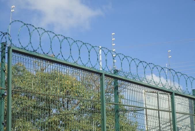 Concertina instalada sobre alambrado de tela metálica verde