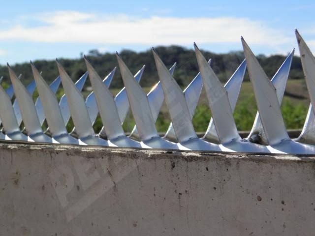 Lanças perfurantes modelo mandíbula de tubarão instaladas no topo de um muro